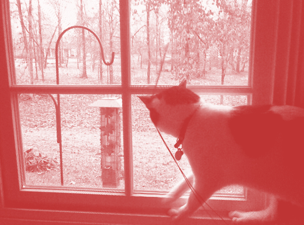 Image000.jpg