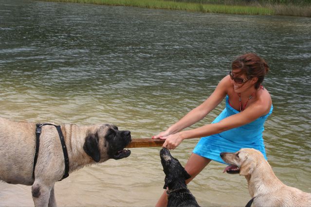 Tug of War
