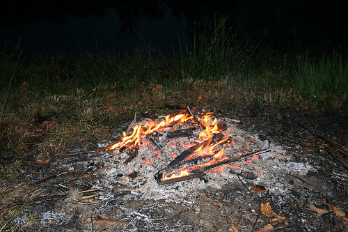 img-6964.JPG