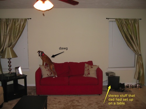 tobioncouch.jpg