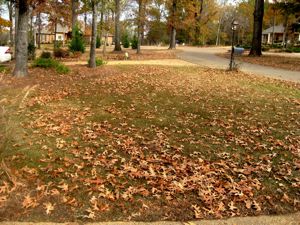IMG_1476.jpg