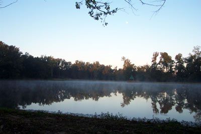 Morning Fog