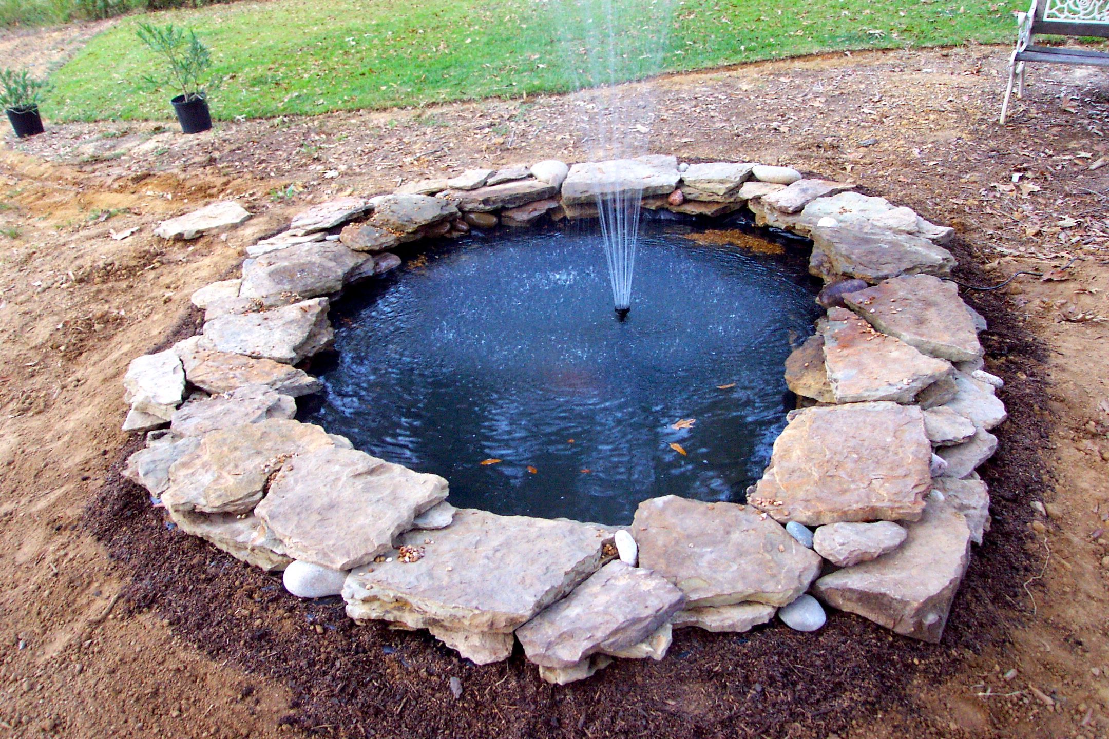 Water Garden 1